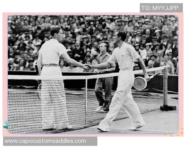 重庆网球队的崛起与荣耀揭秘网球背后的力量与激情